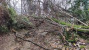 IMG_20201220_094916.jpg