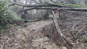 IMG_20201220_100955.jpg