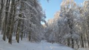 20201212_132705.jpg