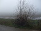 DSCF9652.JPG