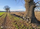 IMG_20201230_154308.jpg