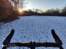 IMG_20201230_161055.jpg