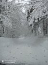 IMG_20210101_110014.jpg