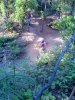 10052008035.jpg