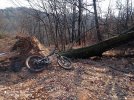 Norco range m