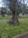DSCF9681.JPG