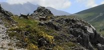 IMG-20200606-WA0080.jpg