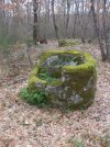 DSCF9772.JPG