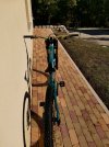 IMG_20201031_094109.jpg