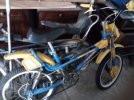 bici gialla.jpg