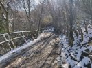 IMG_20210214_150628.jpg