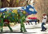 MUCCA_576.jpg