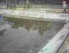 IMAGE0028.4.JPG