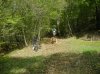 DSCN0633.jpg