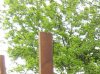 IMG_0003.jpg