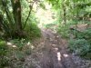 P27-05-08_18.37.jpg