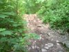 P27-05-08_18.46.jpg