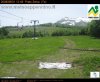 pratoselva_1200.jpg