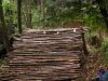 nuovo salto 029a.jpg