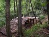 nuovo salto 021a.jpg