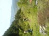 DSC02718.jpg