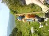 DSC02719.jpg