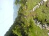 DSC02717.jpg