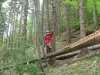 DSCN0819.jpg