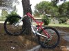 pignabike.jpg