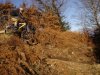 DSC06606.jpg