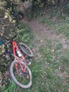 20201114_100332.jpg