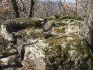 DSCF0164.JPG