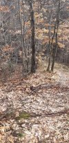 20210313_101416.jpg