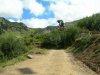 DSCN0992.jpg