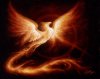 phoenix7uc.jpg