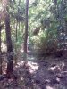 21062008069.jpg