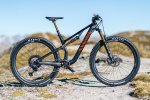Cerco MTB 29" taglia L/XL