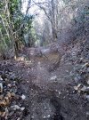 IMG_20210402_095533.jpg