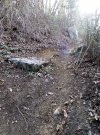 IMG_20210402_095551.jpg