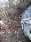IMG_20210402_095523.jpg