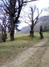 IMG_20210404_094008.jpg