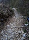 IMG_20210404_093720.jpg