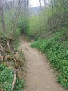 20210410_105354.jpg