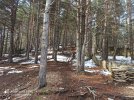IMG_20210417_174632.jpg