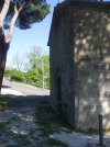 DSCF0534.JPG