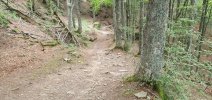 20200829_140459.jpg