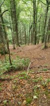 20200829_140521.jpg