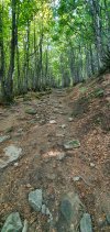 20200905_151535.jpg