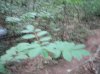 Immagine 346.jpg