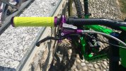 Scott gambler 730